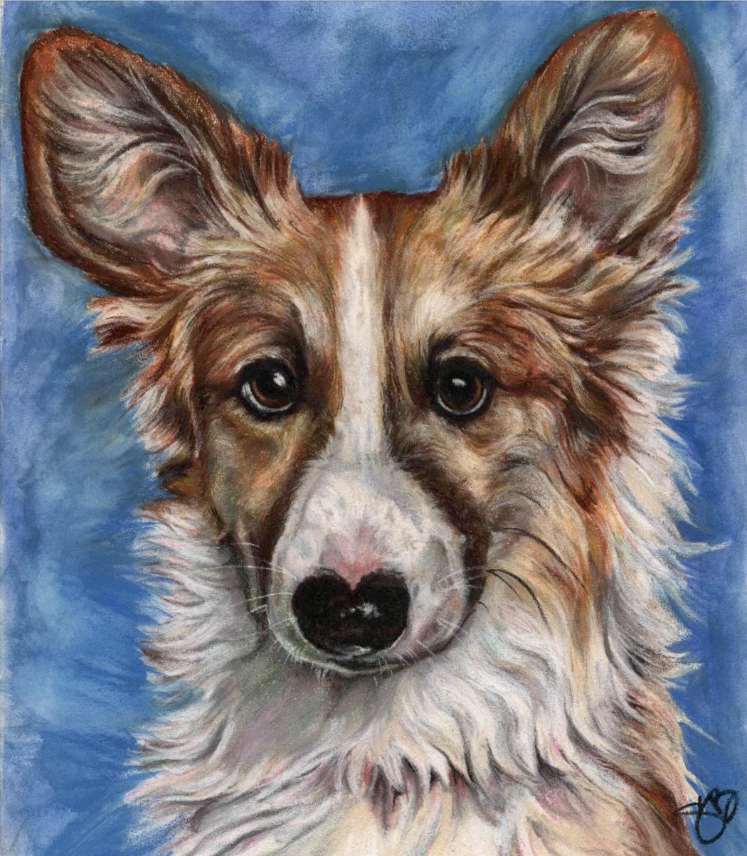 Awesome Corgi Drawing